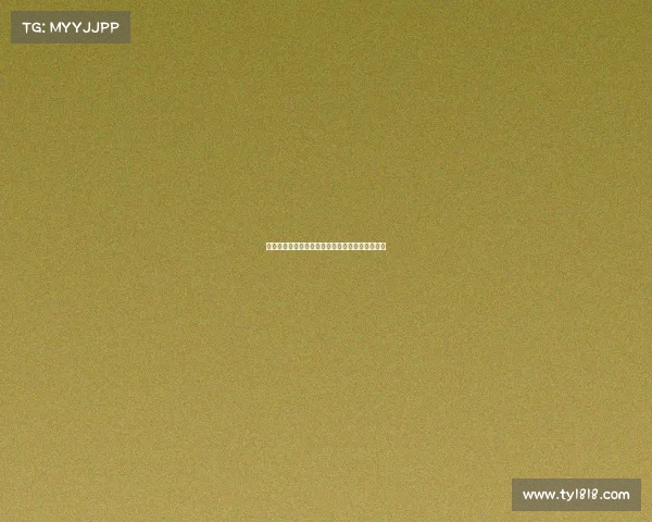 德甲联赛历史发展与经典球队对决回顾及未来展望